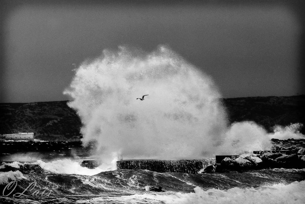 Images-in-love-photography Images made with love